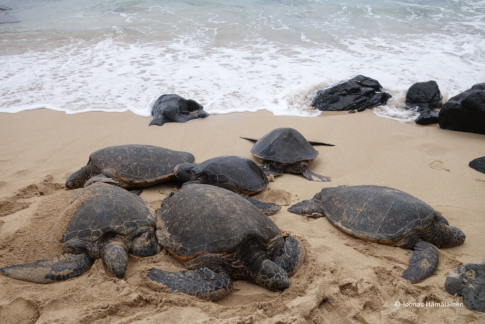Maui, Hawaii