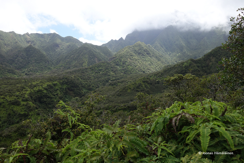 Maui, Hawaii