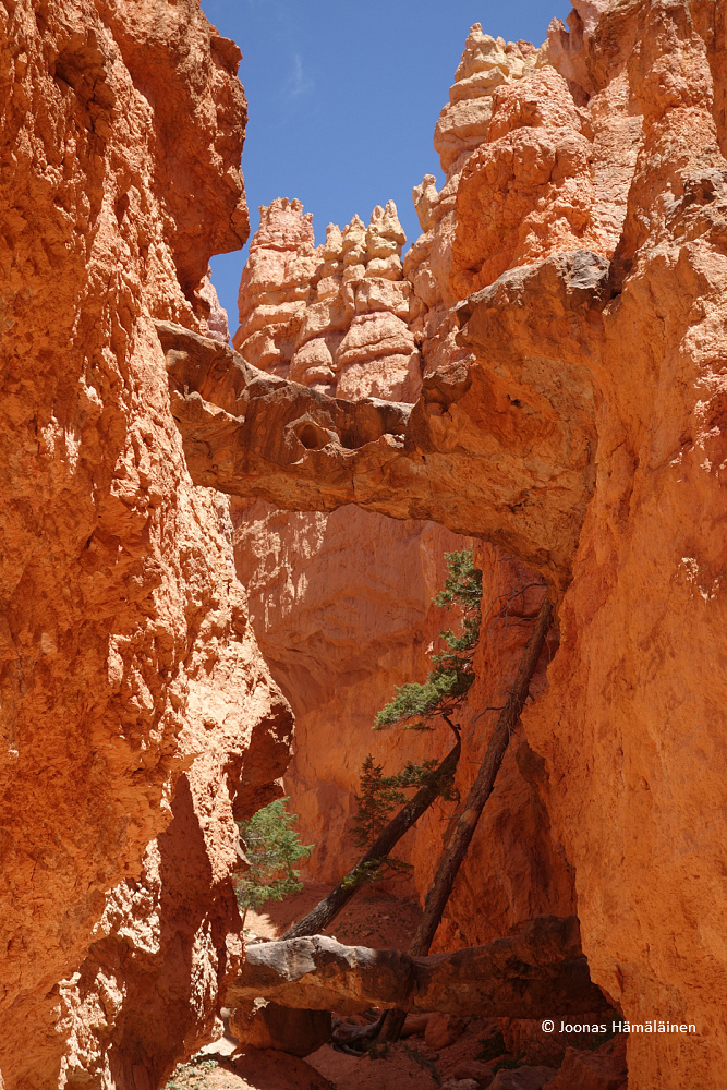 Bryce Canyon