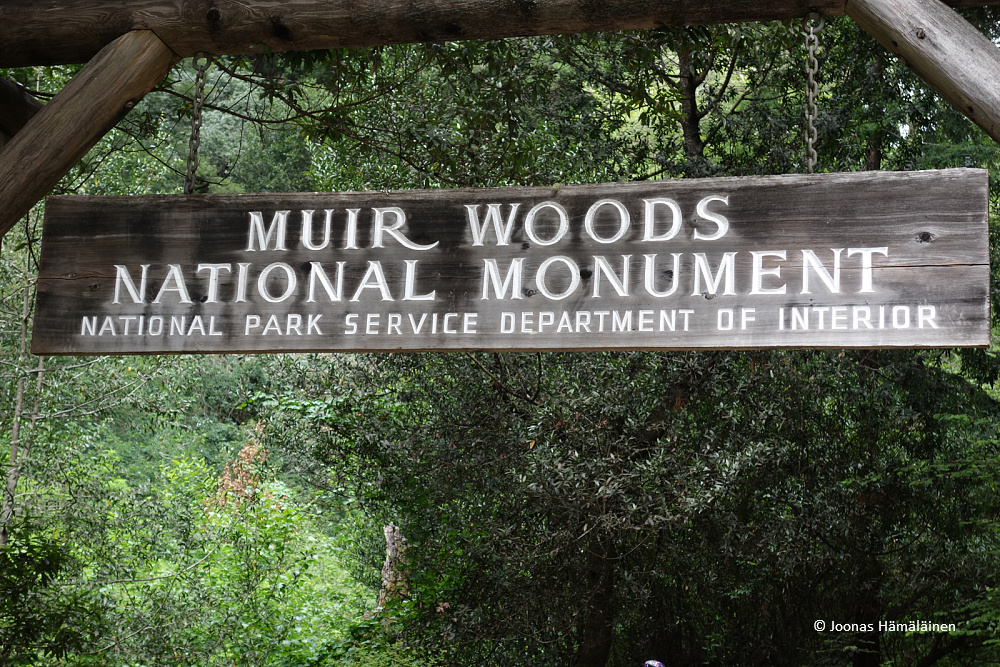 Muir Woods
