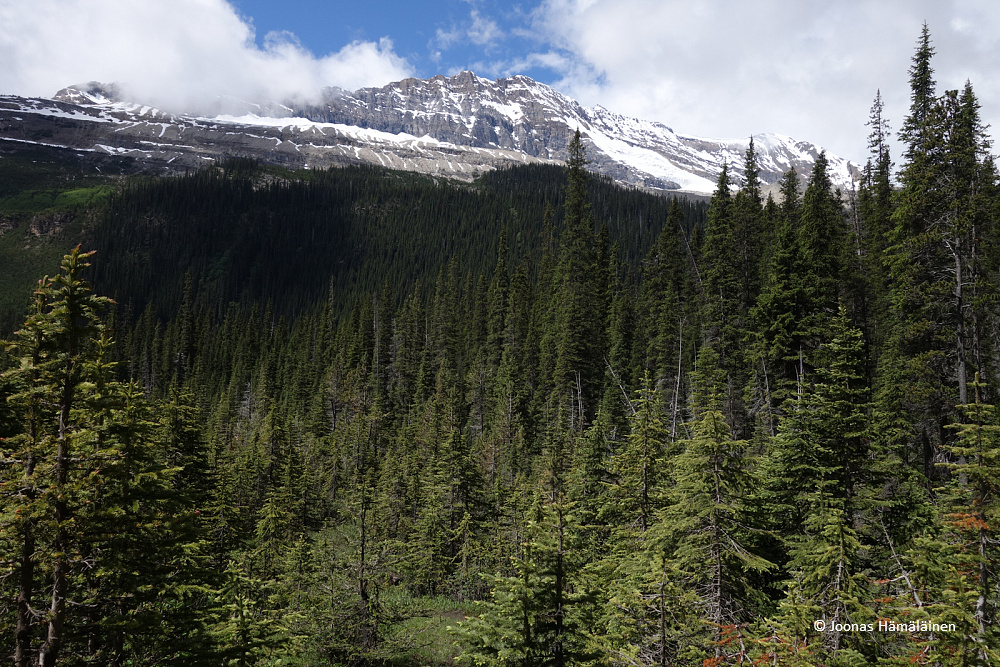 Yohon Kansallispuisto, Kanada