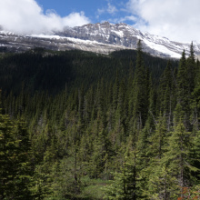 Yohon Kansallispuisto, Kanada