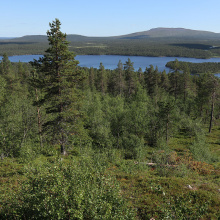 Ounasjärvi, Hetta