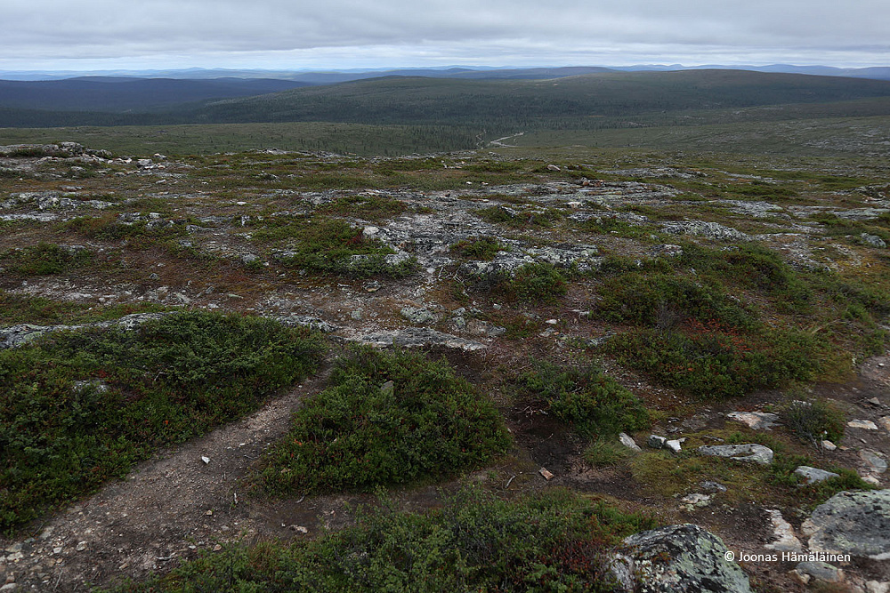 Saariselkä