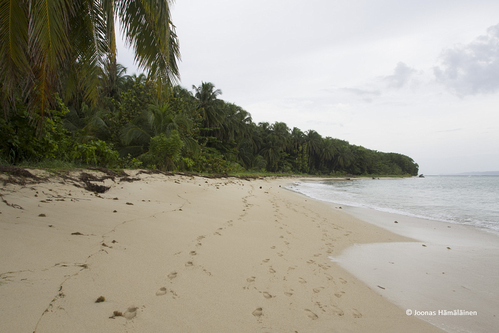 Bastimentos, Panama