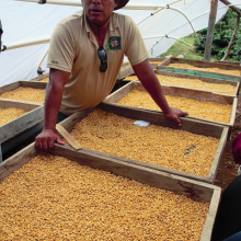 Boquete, Panama