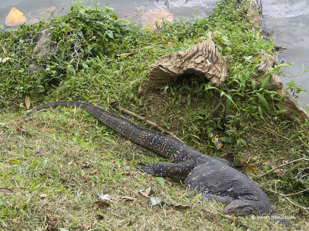 Kandy, Sri Lanka