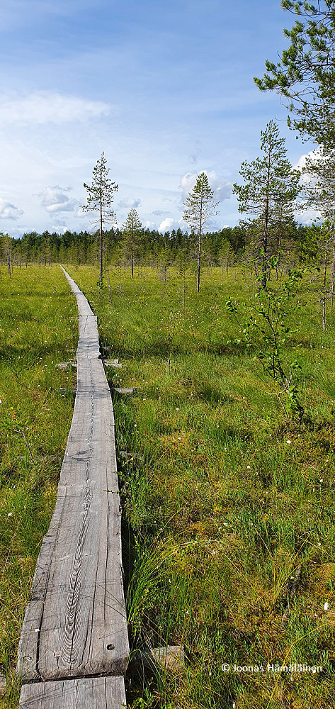 Tiilikkajärven kansallispuisto