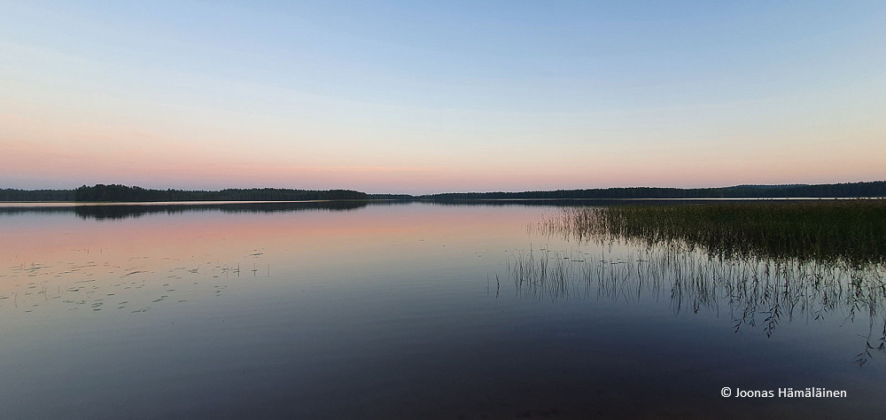 Patvinsuon Kansallispuisto