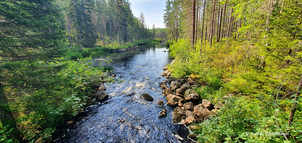 Patvinsuon Kansallispuisto