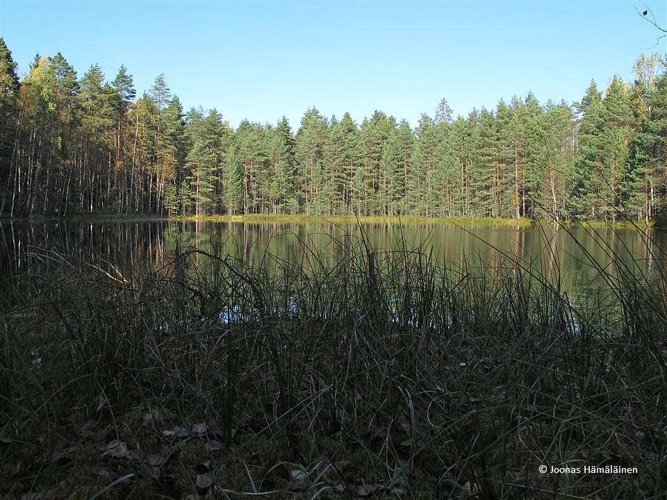 Nuuksio