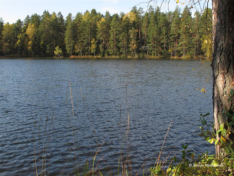 Nuuksio