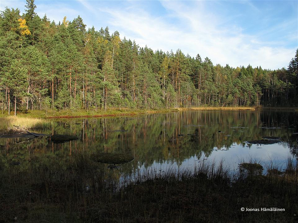 Nuuksio