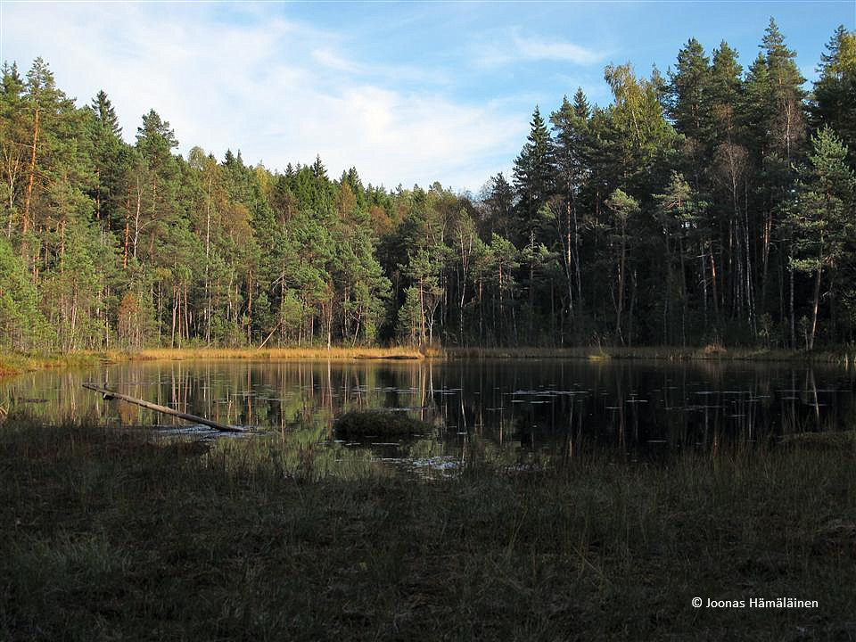 Nuuksio