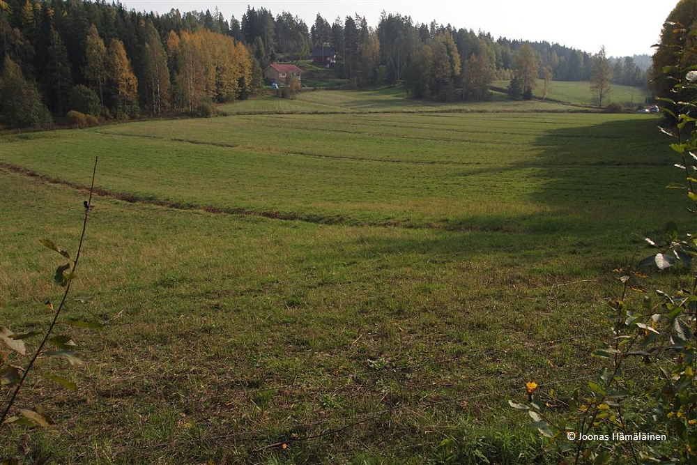 Sipoonkorpi
