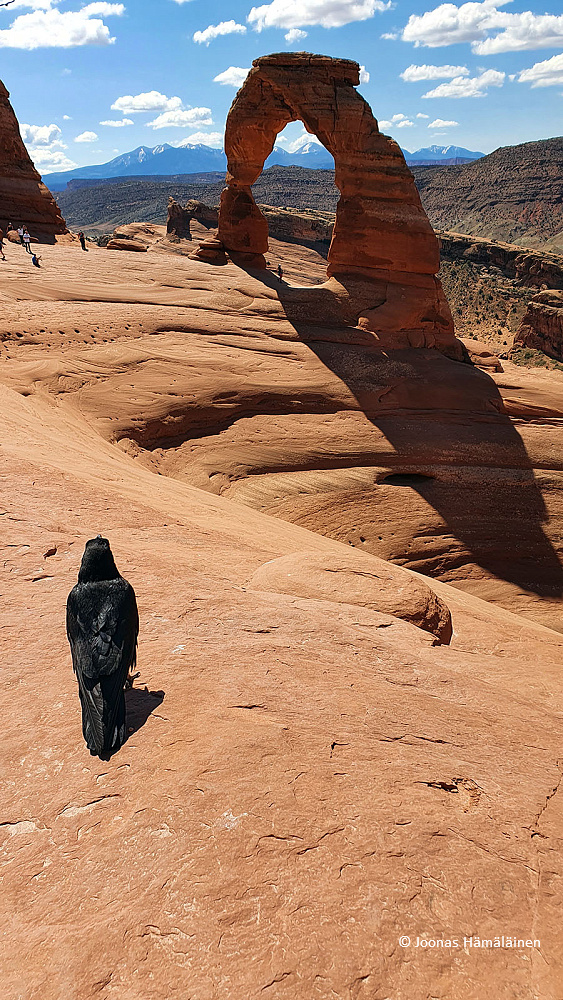 Arches National Park, Utah, USA