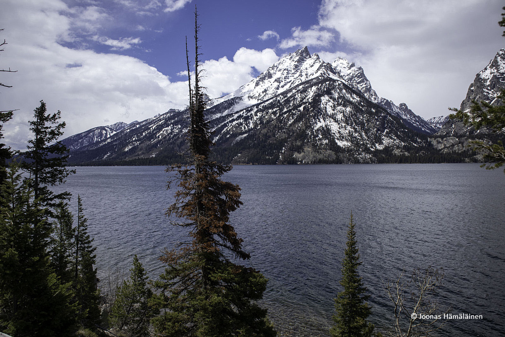 Grand Teton National Park, Wyoming,USA