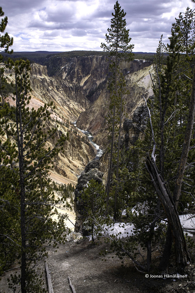 Yellowstone National Park, Wyoming,USA