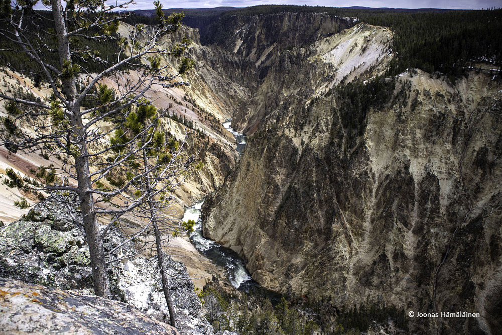 Yellowstone National Park, Wyoming,USA