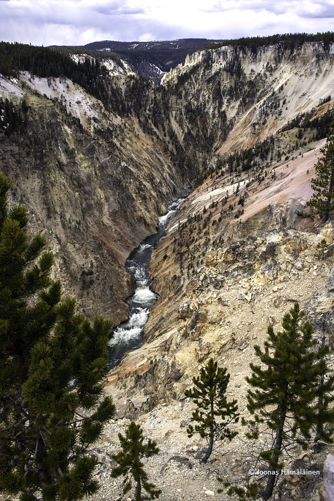Yellowstone National Park, Wyoming,USA