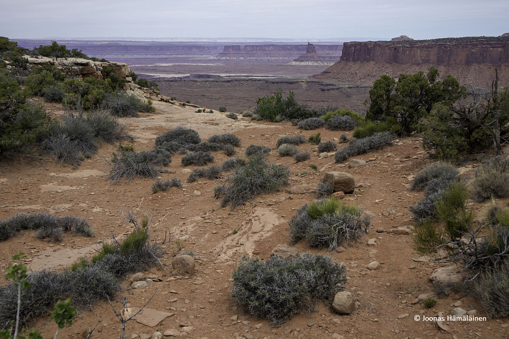 Canyonlands National Park, Utah, USA