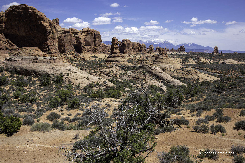 Arches National Park, Utah, USA